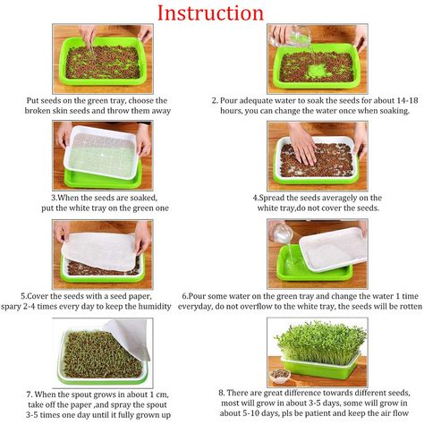 Microgreens Garden, Seed Sprouter, Grow Seeds, Growing Sprouts, Garden Home Office, Sprouting Seeds, White Tray, Seed Germination, Seed Paper