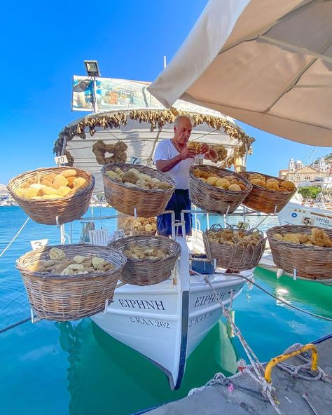 tony kariotis on Instagram: “Sponge shopping on Kalymnos!! 🧽 Have you ever used a natural sponge?” Natural Sponge, Greece Holiday, Holiday Books, April 29, Summer Dream, Greece Travel, Old Movies, Study Abroad, Santorini