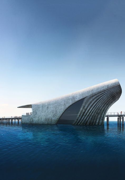 Baca Architects to build whale-shaped Australian Underwater Discovery Centre Whale Inspired Architecture, Pavillion Design Architecture, Whale Architecture, Underwater Architecture, Underwater Observatory, Imaginary Architecture, Biomimicry Architecture, Underwater Restaurant, Sunshine Beach