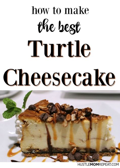 the best recipe for turtle cheesecake dessert Cream Cheese Turtle Cake, Turtle Cheesecake Cups, Turtle Cheesecake Recipe, No Bake Turtle Cheesecake, Mini Turtle Cheesecake Recipe, Chocolate Turtle Cheesecake, No Bake Turtle Cheesecake Recipes, Turtles Cheesecake, Turtle Cheesecake Cupcakes