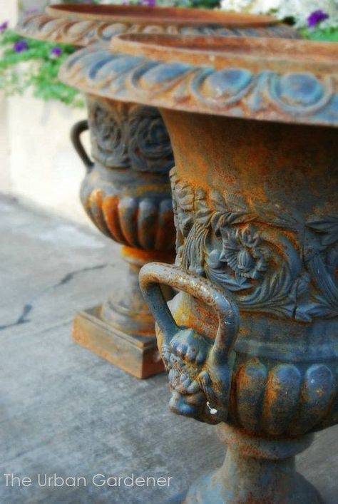 Victorian Urns. Home~Antique Cast Iron Antique Urn, Garden Urns, Urn Planters, Soyut Sanat Tabloları, Garden Containers, Antique Cast Iron, Garden Ornaments, Architectural Salvage, Dream Garden