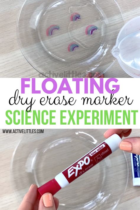 Floating Dry Erase Rainbow and Shapes Experiment   - Active Littles Activities For Kids Indoor, Steam Activities For Kids, Pre-k Science, Science For Toddlers, Experiments Kids, Science Week, Senses Activities, Kid Science, Preschool Science Activities