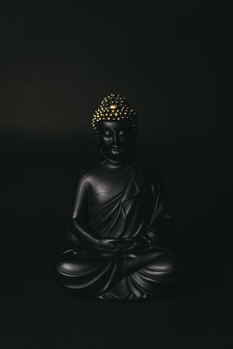 black gautama buddha statue in black background photo – Free India Image on Unsplash Blessing Buddha Wallpaper, Blessing Buddha, Buddha Background, Buddha Wallpaper Iphone, Buddhist Quote, Buddha Wallpaper, Buddha Wall Decor, Buddhism Wallpaper, Lord Buddha Wallpapers