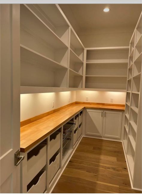 Narrow Pantry, Walk In Pantry Ideas, Pantry Plans, Pantry Door Ideas, Pantry Renovation, Pantry Closet Design, Pantry Layout, Pantry Inspiration, Epoxy Countertops