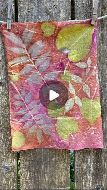 Jamie Young - Natural Dye Educator on Instagram: "Some of my personal favorite natural dye plants for creating eco prints. 🌿🌼 Flowers: hibiscus, cosmos, coreopsis, black knight scabiosa Leaves: cosmos, tree of heaven, geranium, hemp, sumac, Chinese pistache, & redud The truth is, with a good, adjustable mordanting recipe, almost any plant will make a clear beautiful print. The key is being able to match the dye constituents within the plant to the proper mordants. Many plants contain multiple phytochemicals and can create a variety of prints depending on the pretreatment that is used. For instance, a tannin rich leaf such as Chinese pistache, is capable of creating yellow, green, lavender and dark purple prints when slight adjustments are made to the mordant recipe. 🌈 I make this easy Tree Of Heaven, Eco Printing Textiles, Purple Prints, Leaf Dyeing, Flowers Hibiscus, Green Lavender, Jamie Young, Black Knight, Colorful Background