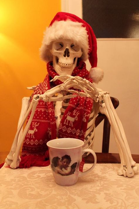 Funny Santa Pictures, Skeleton Pics, Silly Skeleton, Cool Skeleton, Wow Wow Wow, Santa Pictures, Funny Skeleton, Spooky Scary, Silly Images