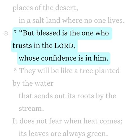 Daily Bible Verse 08/02/24 🩵 • • Jeremiah 17:7 NIV [7] “But blessed is the one who trusts in the Lord, whose confidence is in him. • • @faithfully_with_you • • #biblequotes #bibleverses #bible #biblescripture #bibleverse #dailybibleverse #dailyquote #digitalart #nivbibleverse #nivbibletranslation #christianartist #christiandigitalart #christianity #christiancreator #catholicism #christiandigitalartwork #christian #christianart #catholic #christianpost #christianposts #christianreel #christ... Jeremiah 32:27, Jeremiah 17 7-8 Scriptures, Jeremiah 31:31-34, Jeremiah 31:16-17, Jeremiah 17 7, Jeremiah 30:17 Health, Niv Bible, Christian Post, Christian Artists