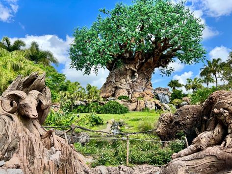 🎉Cheers to 26 Years Disney’s Animal Kingdom Theme Park 🌍 and Happy Earth Day 🌳 Did you know that The Tree of Life is over 145 feet tall and has over 300 animals carved into it? I love walking through the Discovery Island Trails to get an up close look at all the different animals. Every time I visit I find new animals I didn’t see before. What’s your favorite animal that you’ve found carved into The Tree of Life? 🐘🦬🦦🦧 ✨ Follow @happilyeverparkhoppers for more Disney tips. Because just li... Discovery Island, Disney On A Budget, Happy Earth, Budget Planning, Disney Tips, Earth Day, Tree Of Life, Animal Kingdom, Theme Park