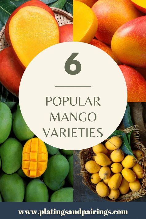 Everything you need to know about the most popular types of mangoes. Plus, how to pick them, cut them + use mangoes in delicious recipes! Types Of Mangoes, Mango Types, Thai Mango Salad, Mango Varieties, Thai Mango, Oven Top, Red Mango, Tropical Fragrance, Weeknight Recipes