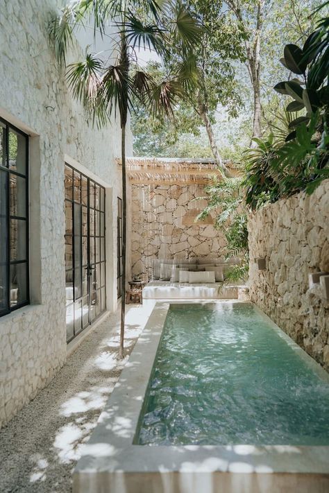 Piece of Art Studio in between palms and trees - Condominiums for Rent in Tulum, Quintana Roo, Mexico - Airbnb Tropical Pool Landscaping, Taman Air, Pool Landscape Design, Small Pool Design, Tropical Pool, Paint Modern, Small Pools, Dream Pools, Patio Interior