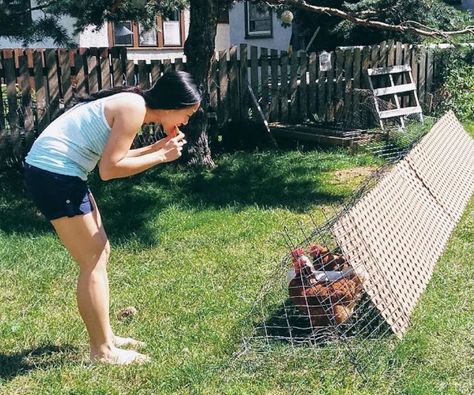 Rotating Run: Chicken Coop Extension: 9 Steps (with Pictures) Chicken Coop Extension, Chicken Coop With Tunnel, Chicken Run Out Of Trampoline, Adding A Run To A Chicken Coop, Chicken Run With Hardware Cloth, How To Attach Chicken Coop To Run, Chicken Enclosure, Chicken Coop Blueprints, Chicken Fence