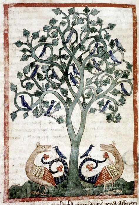 Doves roost in a peridexion tree, safe from the dragons below, except for two that have foolishly landed on the dragon's tails.Bodleian Library, MS. Douce 151, Folio 71v: Tudor Flower, Celtic Lettering, Medieval Monsters, Old Manuscript, Medieval Illustrations, Medieval Animals, Medieval Illustration, Middle Ages Art, Medieval Bestiary