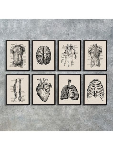 8pcs/Set Canvas Wall Art Prints, Human Anatomy Artwork, Muscle Skeleton Vintage Posters, Medical Wall Pictures, Educational Paintings, Waterproof, UnframedI discovered amazing products on SHEIN.com, come check them out! Muscle Skeleton, Anatomy Artwork, Medical Artwork, Skeleton Vintage, Wall Pictures, Canvas Decor, Poster Vintage, Human Anatomy, Retro Poster