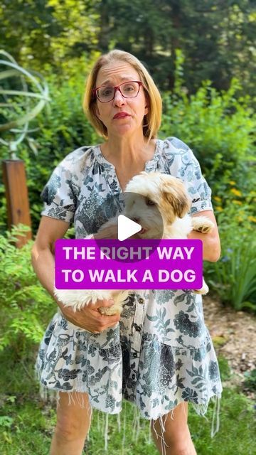 Sarah Hodgson on Instagram: "The Right Way to Walk a Dog or Puppy: 

1️⃣ Always use treats and approach them gently when putting on their harness and leash.

2️⃣ Let your dog or puppy get used to wearing their leash around the house follow them — don’t pull them! 

👀 Encourage them to watch you and reward them for eye contact

3️⃣ Now it’s time to bring them out. Start in the driveway or front lawn — gradually bringing them out into unfamiliar areas. 

LET 👏🏻 THEM 👏🏻 SNIFF 👏🏻 
Sniffing is a fun, curious, and enriching experience for them.

Give it a go and follow me for more dog training tips! 💁🏼‍♀️ Leave your questions in the comments. 💬

—

#dogtrainer #dogtraining #dogs #puppies" Dog Trainer, Dog Training Tips, Put On, Dog Training, Walking, Puppies, Let It Be, Dogs, Instagram