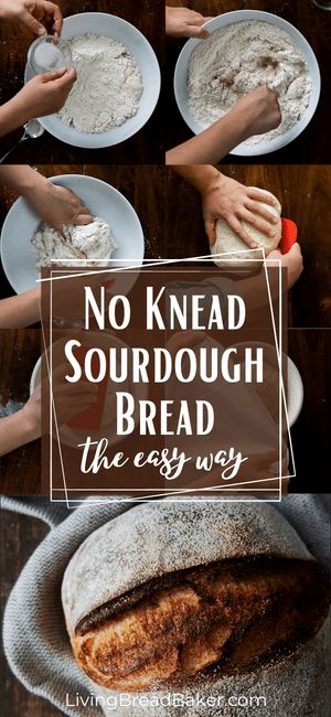 No Knead Sourdough Bread, No Knead Sourdough, Bread Lame, Wild Yeast, Dough Scraper, Dough Ingredients, Loaf Recipes, No Knead Bread, Food Scale