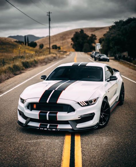 Gt350 Shelby, Mustang Car Aesthetic, 2024 Ford Mustang, Mustang Gt350, Shelby Gt 500, Tokyo Drift Cars, Mustang Car, 2010 Ford Mustang, Mustang Gt500