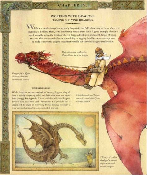 Eragon Fan Art, Mythological Animals, Dragon Tales, Dragon Images, Cool Dragons, Antique Folk Art, Dragon Girl, Dragon Pictures, Book Dragon