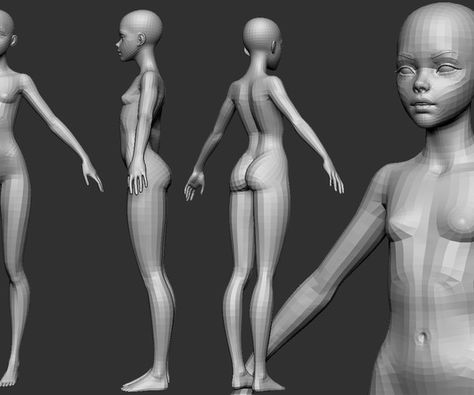 Base Mesh Female, Stylized Anatomy, Zbrush Sculpting, 3d Anatomy, Character Girl, 3d Karakter, Female Base, 3d Ideas, Character Model Sheet