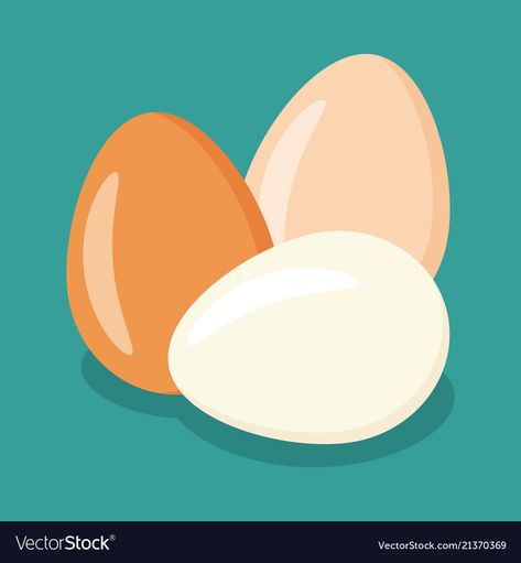 Chicken Egg Breakfast, Egg Illustration Design, Egg Graphic Design, Eggs Illustration, Egg Project, Egg Illustration, Dog Infographic, Eggs Image, Egg Vector