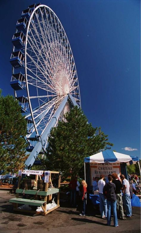 Second largest Ferris wheel in North America at Darien Lake, NY. Darien Lake, Amusement Park Rides, Summer 3, Young Family, Heart For Kids, Travel Stories, Life Experiences, Amusement Park, Roller Coaster