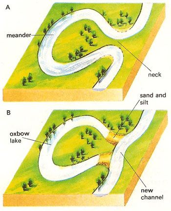 Expedition Earth: Meanders and Oxbow Lakes Oxbow Lake, River Restoration, Geography Revision, Watershed Management, Geography Notes, Geography Project, Pte Academic, Science Notebook, Physical Geography