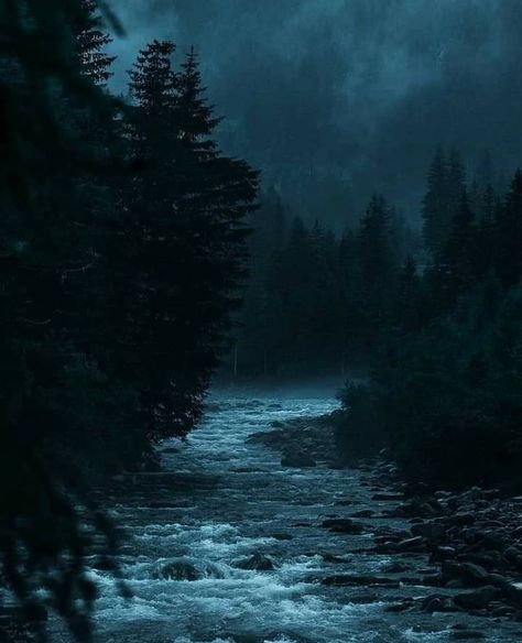 Mountains At Night, Dark Naturalism, Dark Forest Aesthetic, Dark Landscape, Foggy Forest, Dark Nature Aesthetic, Misty Forest, Pretty Landscapes, Dark Photography