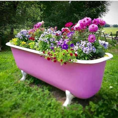 Bathtub Garden, Garden Details, Bath Ideas, Flower Box, Garden Features, Landscape Art, Flower Power, Landscaping, Outdoor Living