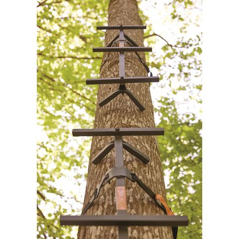 Tree Climbing Equipment, Tree Stand Hunting, Hunting Stands, Game Hunting, Tree House Diy, Deer Hunting Blinds, Tree Climbing, Tree House Designs, Bowfishing