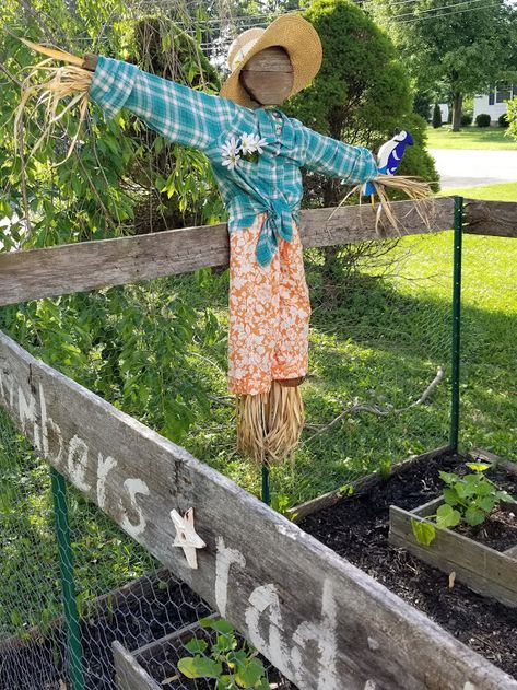 How to Make a Cute Garden Scarecrow - My Thrifty House - Both the garden annd the scarecrow. I think I ca make this - next year. Stupid Squirrels Garden Scarecrow Ideas, Simple Garden Furniture Ideas, Garden Scarecrow, Garden Diy Furniture, Scarecrow Ideas, Make A Scarecrow, Scarecrows For Garden, Diy Scarecrow, Cute Garden