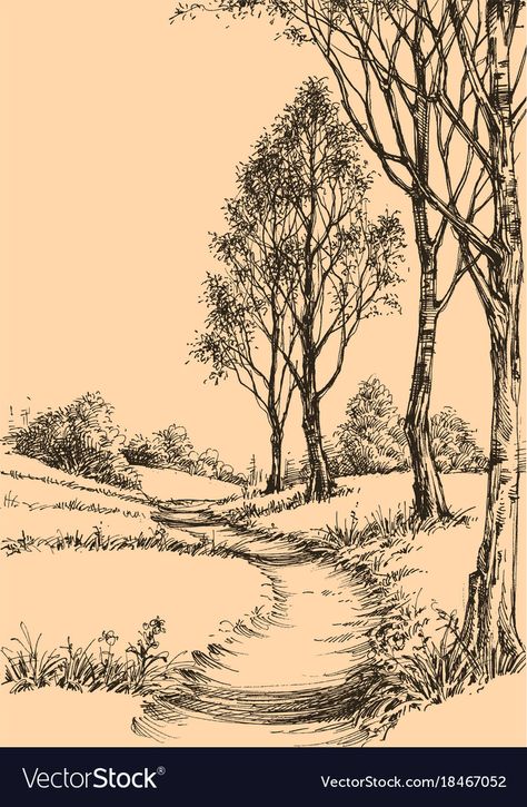 Park Sketch, Road Drawing, Sketch Wallpaper, Forest Sketch, Mountain Sketch, Sketch Background, Landscape Pencil Drawings, Forest Drawing, Nature Sketch