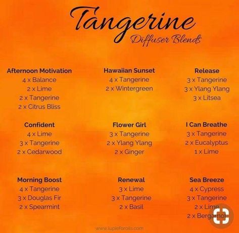 Scent Recipes, Oils For Energy, Doterra Diffuser Blends, Tangerine Essential Oil, Doterra Essential Oils Recipes, Essential Oil Diffuser Recipes, Oil Diffuser Recipes, Essential Oil Mixes, Essential Oil Blends Recipes