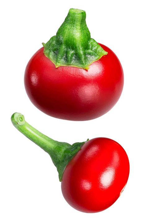 Cherry Peppers: All About Them Cherry Bomb Pepper, Types Of Chili, Dominican Spanish, Types Of Chili Peppers, Types Of Cherries, Cherry Peppers, Puerto Rican Foods, Paprika Pepper, Jalapeno Pepper