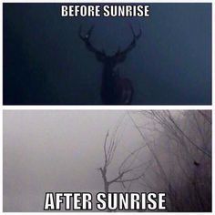 #deerhuntingtips  #deerhuntingtips Funny Hunting Pics, Hunting Quotes Funny, Deer Hunting Humor, Hunting Jokes, Hunting Quotes, Funny Deer, Deer Hunting Tips, Country Jokes, Hunting Humor