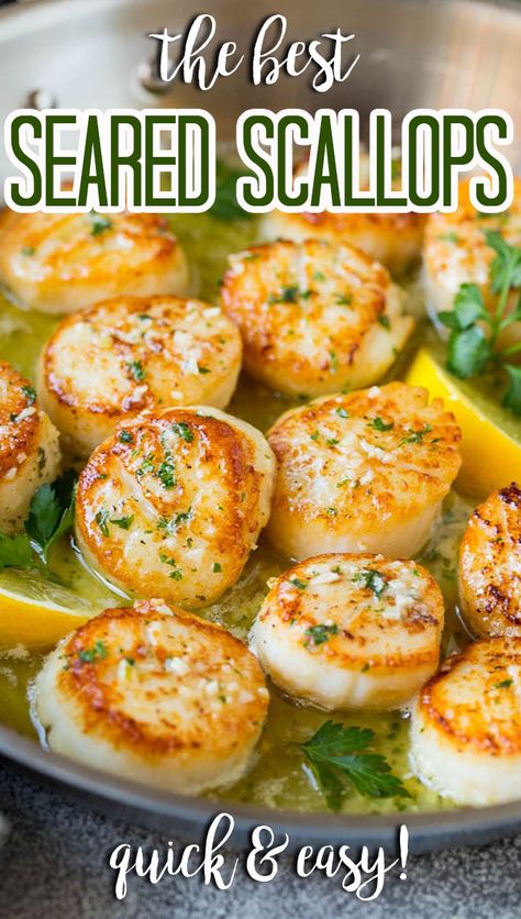 Frozen Scallops, Dinner Seafood, Scallops Recipe, Easy Dinner Options, Dried Scallops, Pan Seared Scallops, Delicious Seafood Recipes, Seared Scallops, Sea Scallops