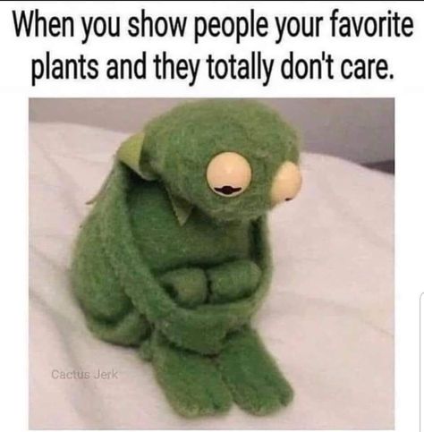 Poor Kermit! 😔 We care!! Drop one of your fav plants! 👇 Visit us at: www.greenthumb.com San Diego Garden, Southern California Garden, Los Angeles Garden, Nursery Green, Garden Centers, Plants Outdoor, California Garden, Gardening Supplies, Lawn And Garden