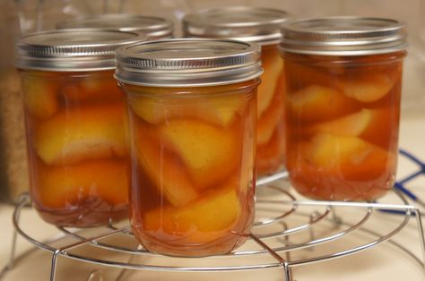 Canned Brandied Spiced Pears. Yum. Perfect for fall! Canned Pear Pie Recipe, Pear Recipes For Canning, Brandied Pears, Pear Recipes Easy, Spiced Pears, Pear Pie Recipe, Pickled Pears, Pear Dessert Recipes, Canning Pears