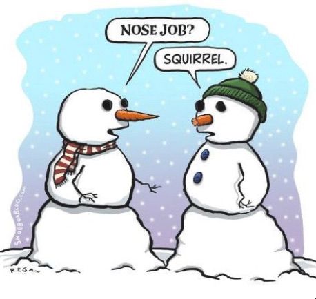 Snowman Jokes, Winter Jokes, Winter Humor, Snow Humor, Snowman Cartoon, Funny Snowman, Christmas Memes, Christmas Jokes, Nose Job