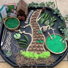 Eyfs Jack And The Beanstalk, Fairy Tales Preschool Activities, Tuff Tray Ideas Toddlers, Fine Motor Development, Eyfs Classroom, Eyfs Activities, Nursery Activities, Motor Development, Toddler Sensory