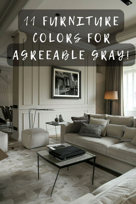 🌈🛋️ Want To Accentuate Your Agreeable Gray Walls? Click To Discover Eleven Furniture Colors That Harmonize Beautifully! #AccentuateInteriors #WallHarmony #BeautifulHarmony #FurnitureDiscovery #DecorMatch Agreeable Gray Bedroom Decor, Agreeable Gray Decorating Ideas, Accent Wall With Agreeable Gray, One Shade Darker Than Agreeable Gray, Shade Lighter Than Agreeable Gray, Agreeable Gray Walls With Dark Wood Floors, Cabinet Color With Agreeable Gray Walls, Agreeable Gray Bedroom, Accent Colors For Agreeable Gray