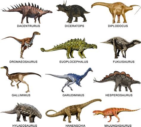 Dinosaur Information, Dinosaur Collection, Types Of Dinosaurs, Prehistoric Animals Dinosaurs, Dinosaur Train, Prehistoric Wildlife, Dinosaur Posters, Dinosaur Images, Jurassic World Fallen Kingdom