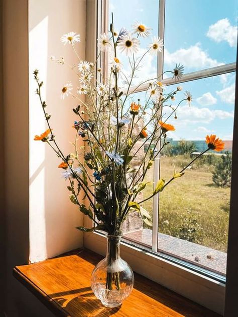 Flower Window, Color Drawing, Colorful Drawings, Window Sill, Soft Lighting, Flower Vases, Glass Jars, Wild Flowers, Flower Arrangements