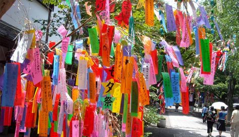 Wish Trees. In various cultures people put their wishes or offerings on trees, as they are believed to be nature's greatest deity. Tanabata Festival, Star Festival, Japanese Festival, Wishing Tree, Star Crossed Lovers, Bamboo Tree, Japan Culture, Tokyo Travel, Sumi E