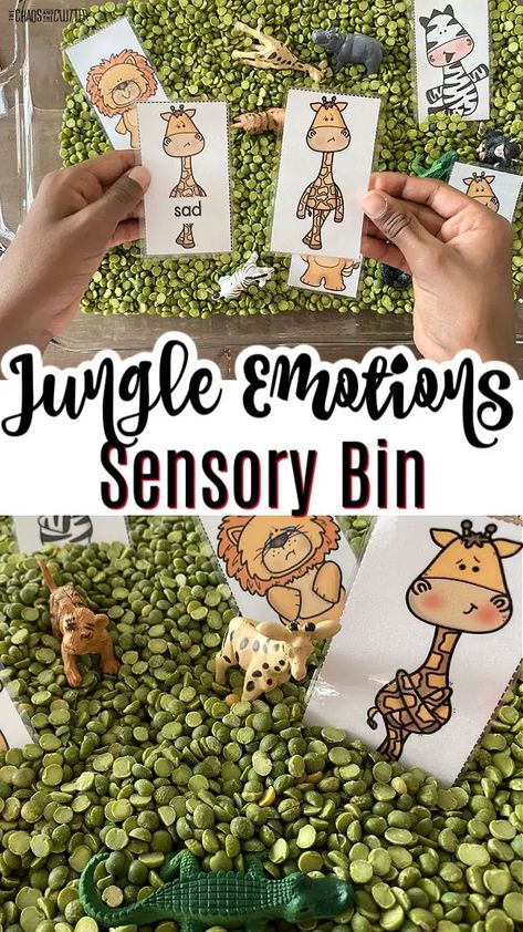 Emotions Sensory Bin, Jungle Sensory Bin, Preschool Jungle, Jungle Activities, Rainforest Activities, Toddler Sensory Bins, Rainforest Theme, Feelings Activities, Emotions Cards