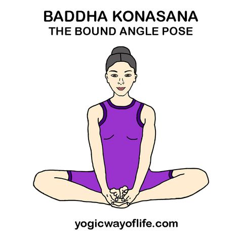 Baddha Konasana , The Bound Angle Pose Yoga Asanas Names, Yoga Illustrations, Baddha Konasana, Couples Yoga Poses, Asana Yoga, Butterfly Pose, Yoga Spiritual, Yoga Poses Names, Couples Yoga