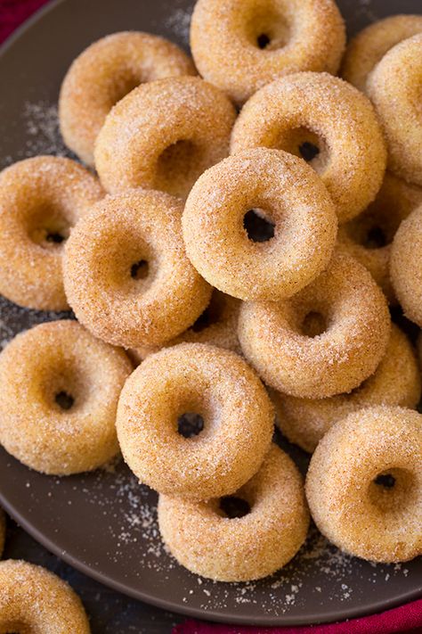 Baked Cinnamon Sugar Mini Donuts - Do you remember those little frozen Morton cinnamon donuts??  OMG!  They were so good!  These remind me of those so long ago... Mini Donuts Recipe, Donut Maker Recipes, Beignets Cuits, Sugar Donuts Recipe, Mini Donut Recipes, Donut Mix, Doughnut Recipe Easy, Mini Donuts Maker, Donuts Donuts