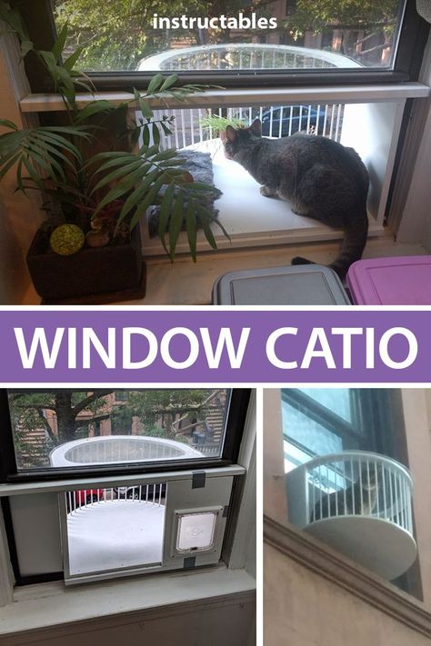 Catio Window Apartment, Diy Catios For Cats Apartment, Window Box For Cats, Catio Plans From Window, Diy Cat Window Box Ideas, Window Catio Ideas For Cats, Cat Friendly Home Interior Design, Catification Apartment, Diy Catios For Cats Cheap