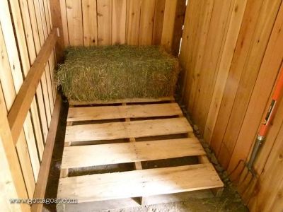 Hay Storage in Extra Stall Hay Storage Ideas, Feed Room Ideas Barn, Feed Room Ideas, Horse Feed Room, Show Cattle Barn, Feed Room, Goat Shed, Goat Shelter, Hay Storage