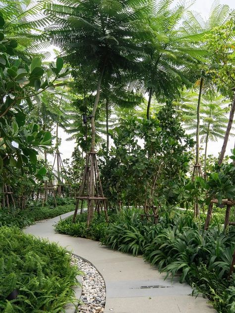 The ParQ – Shma Company Limited Courtyard Landscape, Garden Tropical Ideas, Tropical Garden Plants Landscaping, Shma Landscape, Tropical Park Design, Tropical Resort Landscape Design, Modern Tropical Landscape Design, Landscape Tropical, Oasis Garden