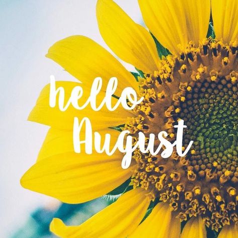 Yorkshire Day, Welcome August, Notary Service, Hello August, Desktop Pictures, Word Pictures, Wedding Officiant, New Month, New Beginnings