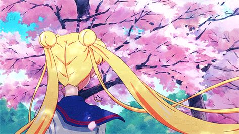 Sailor Moon Wallpaper Laptop Gif, Sailor Moon Discord Banner Gif, Sailor Moon Discord Banner, Sailor Moon Aesthetic Gif, Sailor Moon Crystal Gif, Sailor Moon Gif Pfp, Sailor Moon Gif Banner, Pink And Blue Banner Gif, Sailor Moon Pc Wallpaper